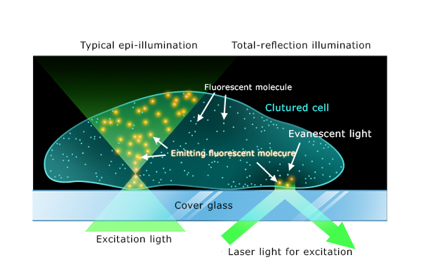 全反射蛍光顕微鏡（TIRF）の新しい選択肢