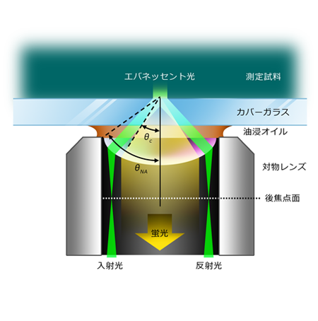 全反射蛍光顕微鏡（TIRF）の新しい選択肢